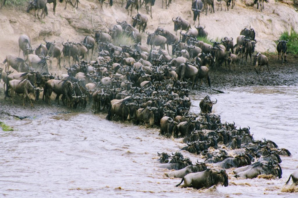 Best Time to Visit Tanzania
