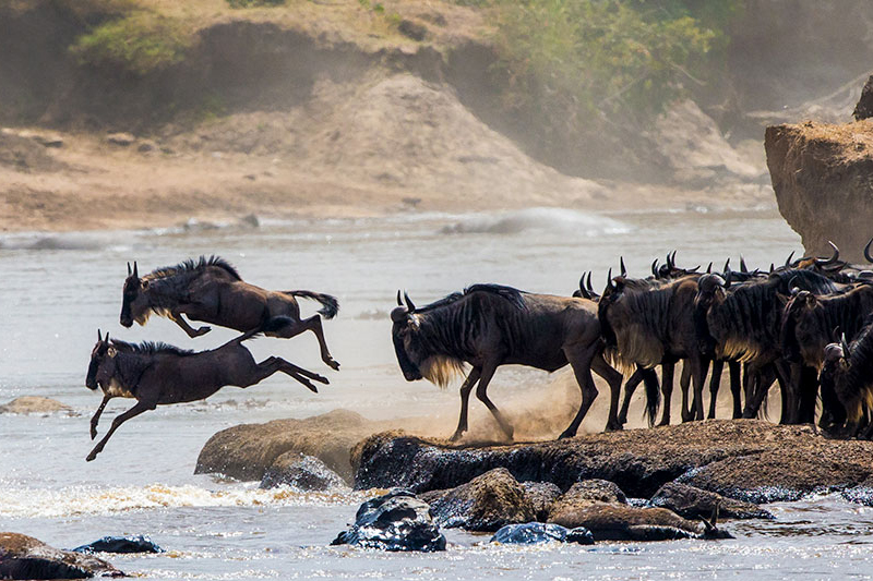 Best Time to Visit Tanzania