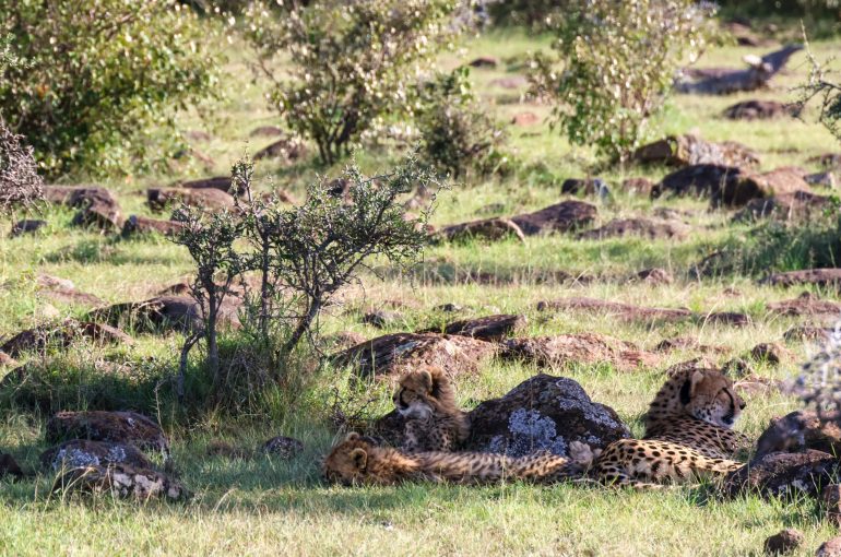 Attractions in Nairobi Kenya